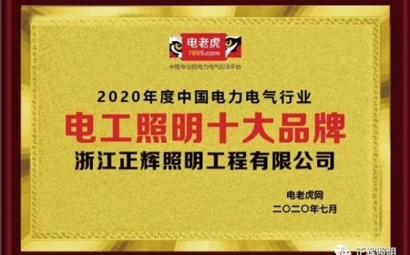 品牌榮譽！祝賀浙江正輝照明榮膺2020年“電工照明十大品牌”